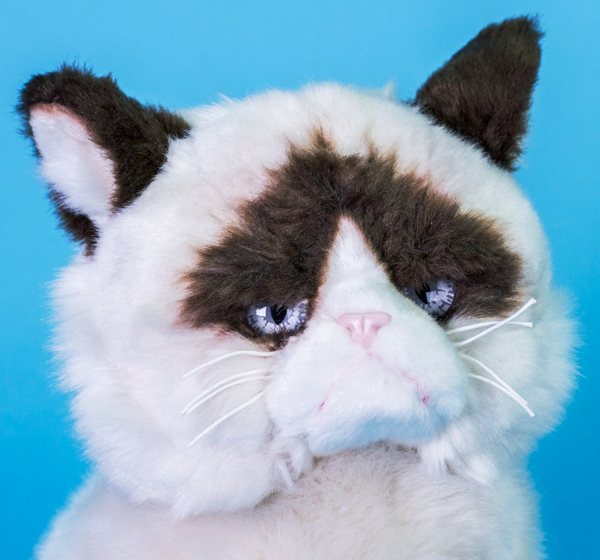 Ya puedes comprar el peluche del gato gruñón de Internet