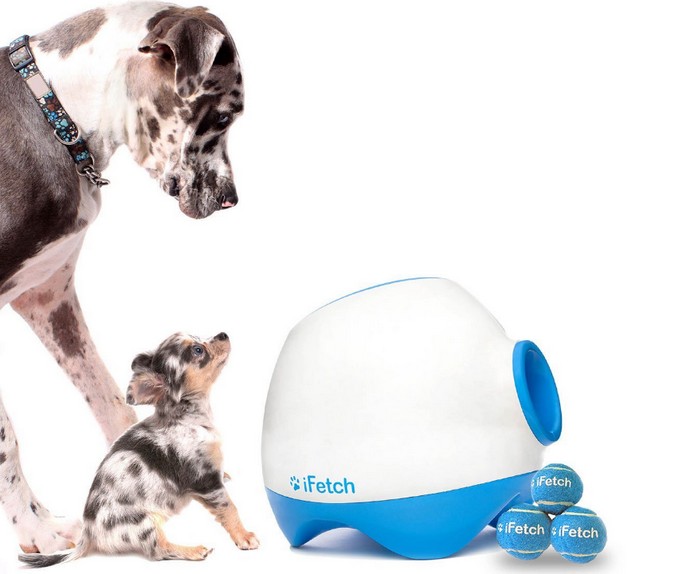 Ifetch Too: lanzador automático de pelotas para perros 