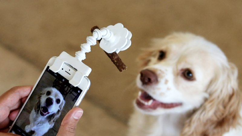 Flexy Paw, el gadget para hacer fotos perfectas a tu mascota