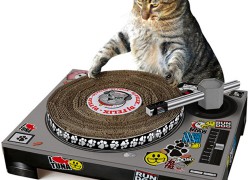 Divertido rascador para gatos DJ