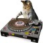 Divertido rascador para gatos DJ