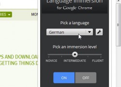 Aprende idiomas online con Language Immersion