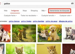 5 trucos para encontrar mejores fotos en Google