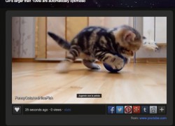 Crea GIFs animados fácilmente con Video to GIF