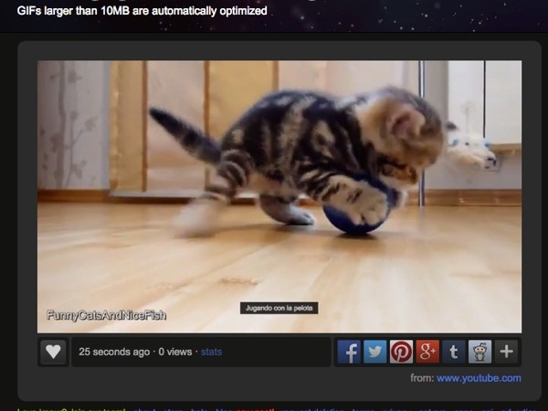 Crea GIFs animados fácilmente con Video to GIF