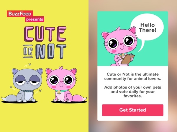 Cute or not: tu perro o gato podría ser la próxima estrella de Internet