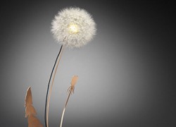 Dandelight: efímera mezcla de lámpara con naturaleza y arte