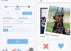Tindog: la app para ligar para humanos y perros