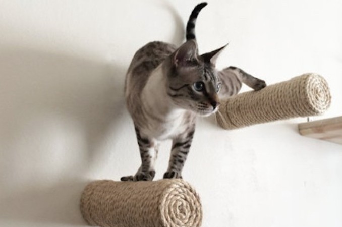 Postes de cuerda flotantes para tu gato