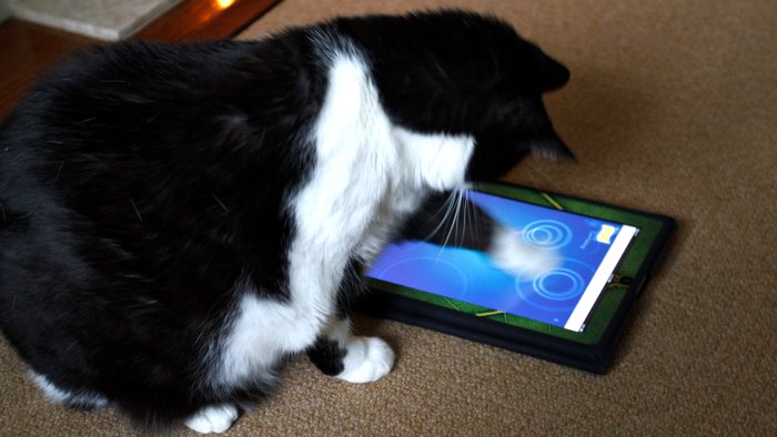 6 gadgets que puedes regalar a tu mascota