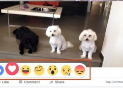 Los nuevos botones de «Me gusta» en Facebook