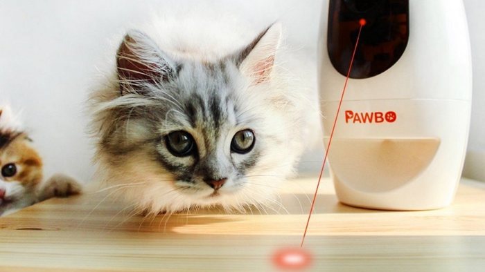 Pawbo: cámara wifi y dispensador de golosinas para mascotas