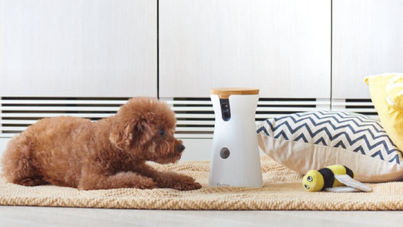 Furbo, la cámara para vigilar a tu perro que le lanza chuches