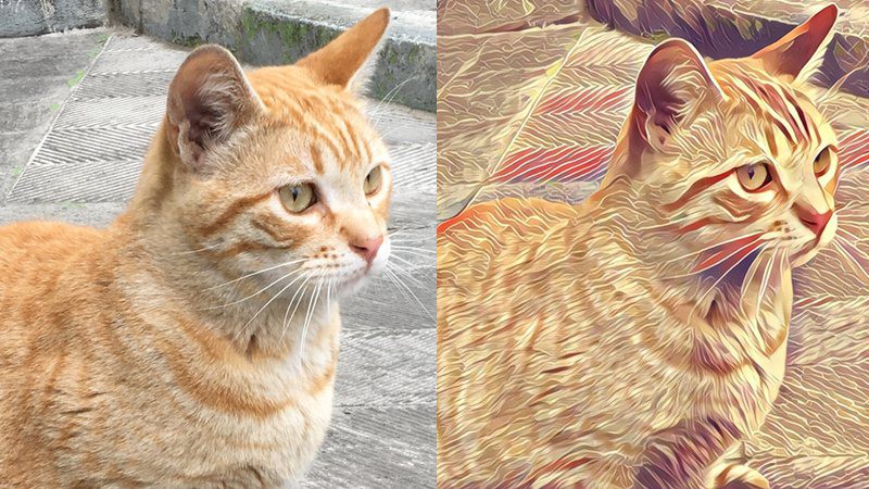 Prisma: aplica efectos artísticos a tus fotos con un resultado espectacular