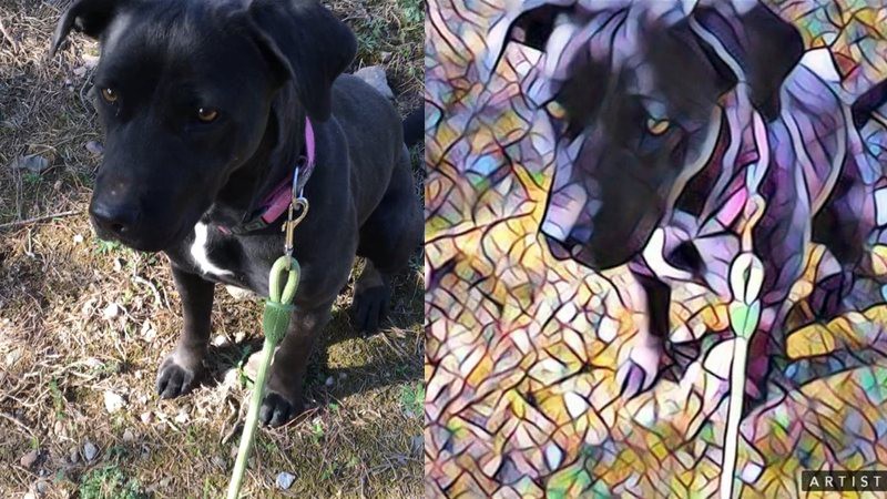 Artisto: los filtros artísticos de Prisma, aplicados a vídeo