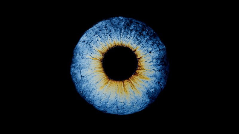 Fotos abstractas que parecen ojos (pero no lo son)