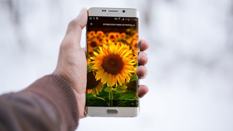 Descarga fondos de pantalla para tu Android con la app oficial de Google