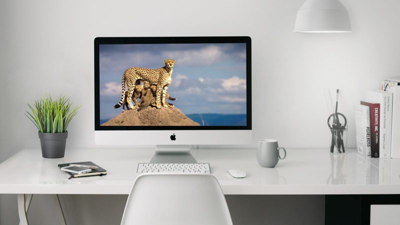 Descargar fondos de pantalla: 12 webs y apps para conseguirlos
