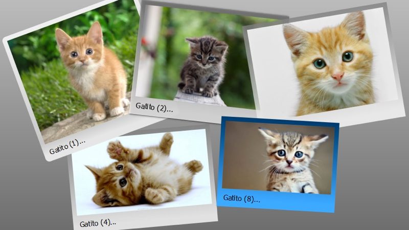 Crea fondos de pantalla con FotoWall