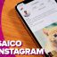 Vídeo: cómo crear un mosaico con fotos en tu perfil de Instagram