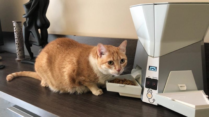 Petpresso, el dispensador de comida inteligente para gatos