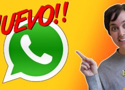 Las últimas novedades de WhatsApp
