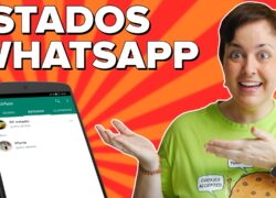 Guía completa de los estados de WhatsApp