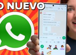 ¡Actualiza tu WhatsApp YA! Novedades que no puedes perderte
